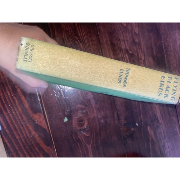 FLYING BLACK BIRDS THOMSON BURTIS AIR COMBAT PLANES 1932 HARDCOVER BOOK Vintage - Picture 2 of 9